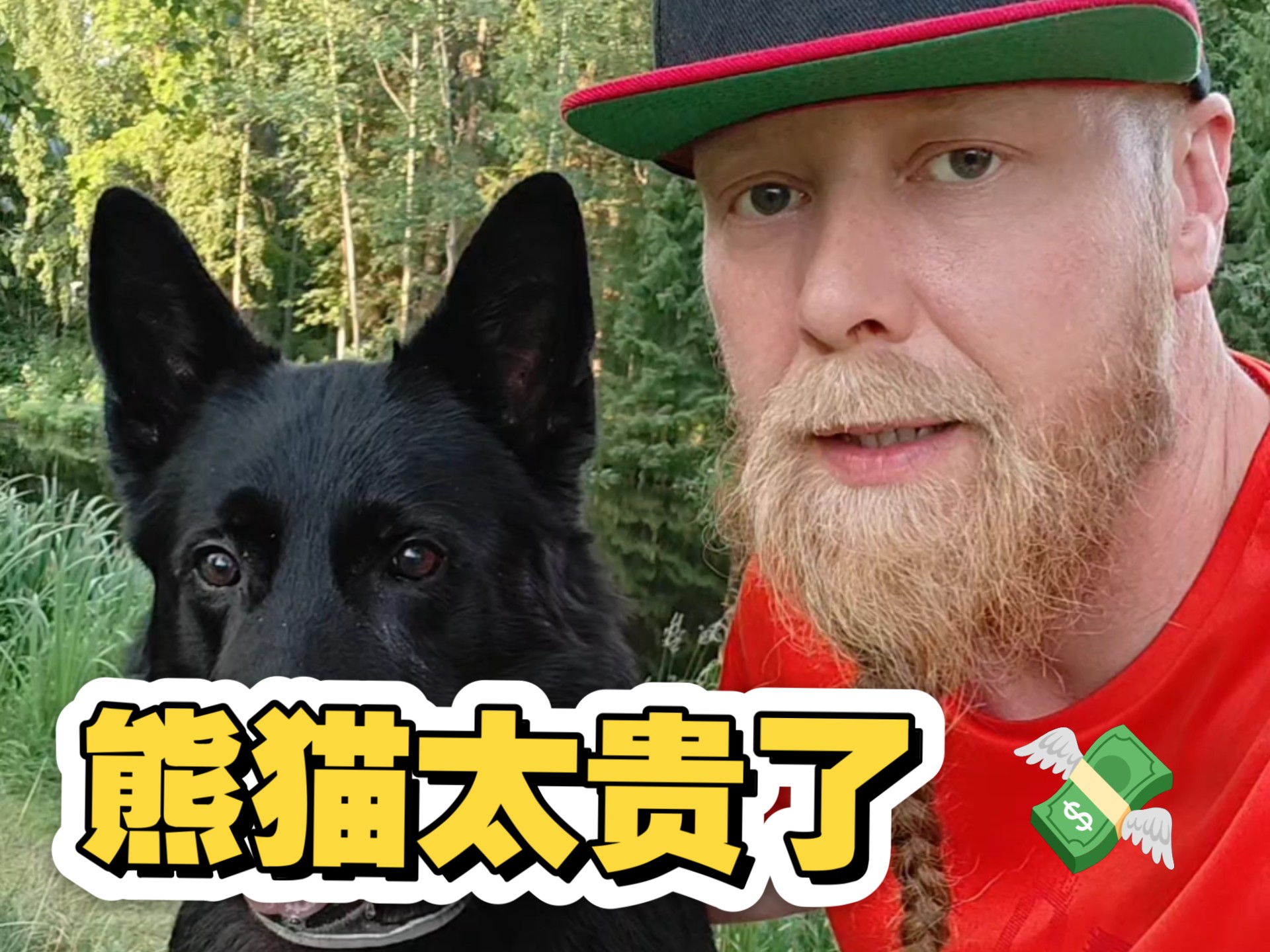 熊猫回国了，因为芬兰养不起