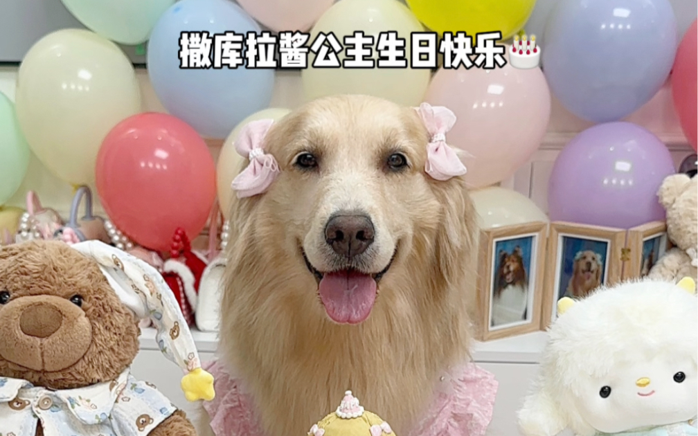 撒库拉酱公主生日快乐