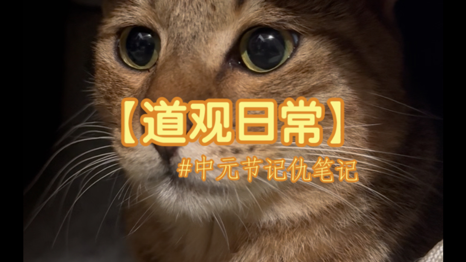【道观日常】中元节我要把你们拖去后山都埋喽，没得啥子好讲嘞