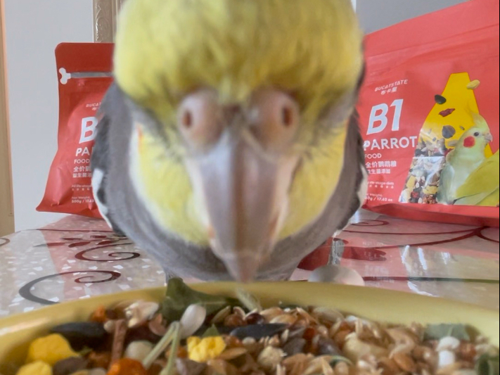 挑战吃播第十天，请调大音量食用