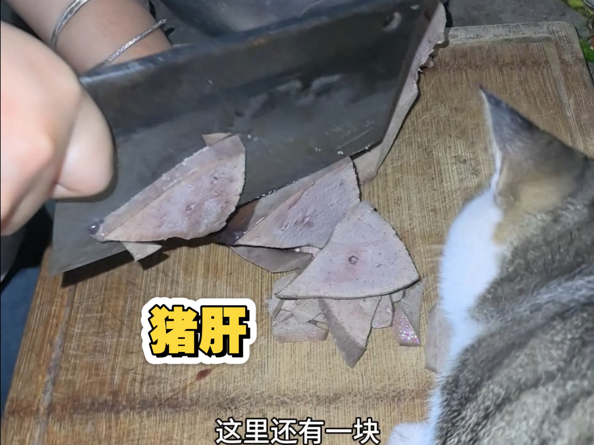 味了省点喂狗粮的钱，每天煮饭喂猫喂狗