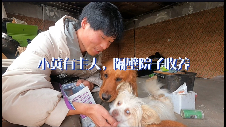 三跟屁虫真会找地方！流浪狗小黄有主人了，尝试自己做油条