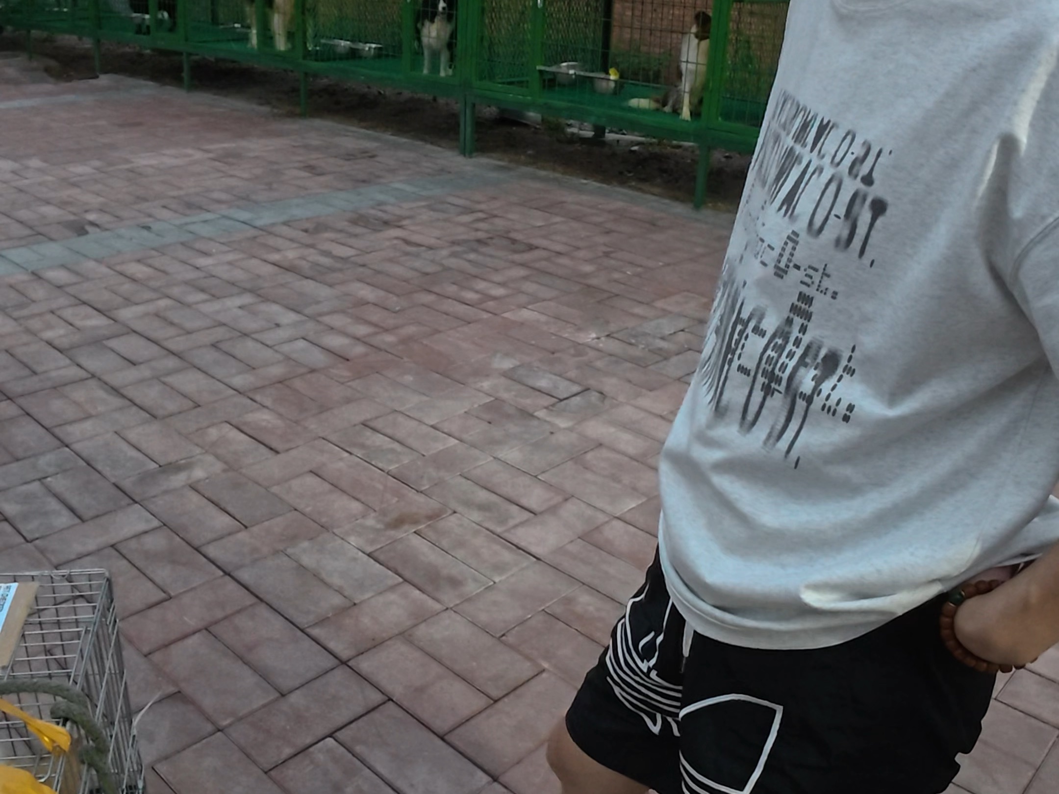 【潘宏爱玩狗】视频加载中，速速查收惊喜！