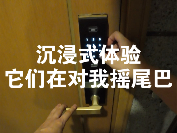 尾巴是用来做什么的？遇见喜欢的人就知道啦～