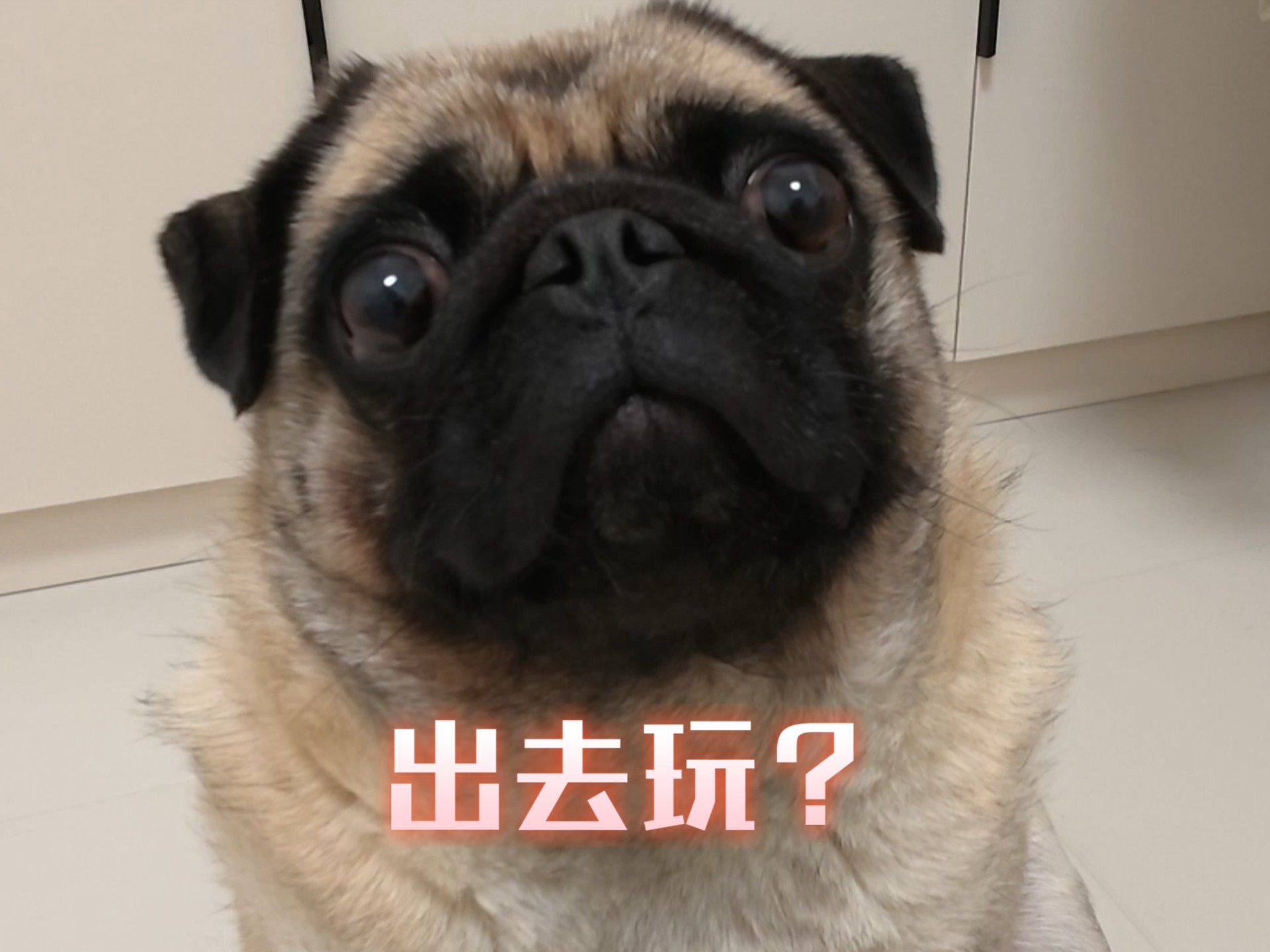 “出去玩”的诱惑力