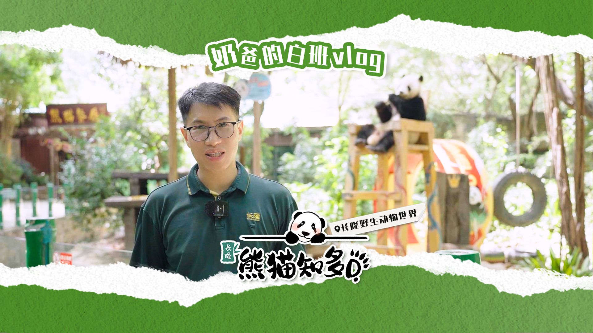 开心撸“猫”，还是“牛马”一天？熊猫保育员的工作，和想象中的样