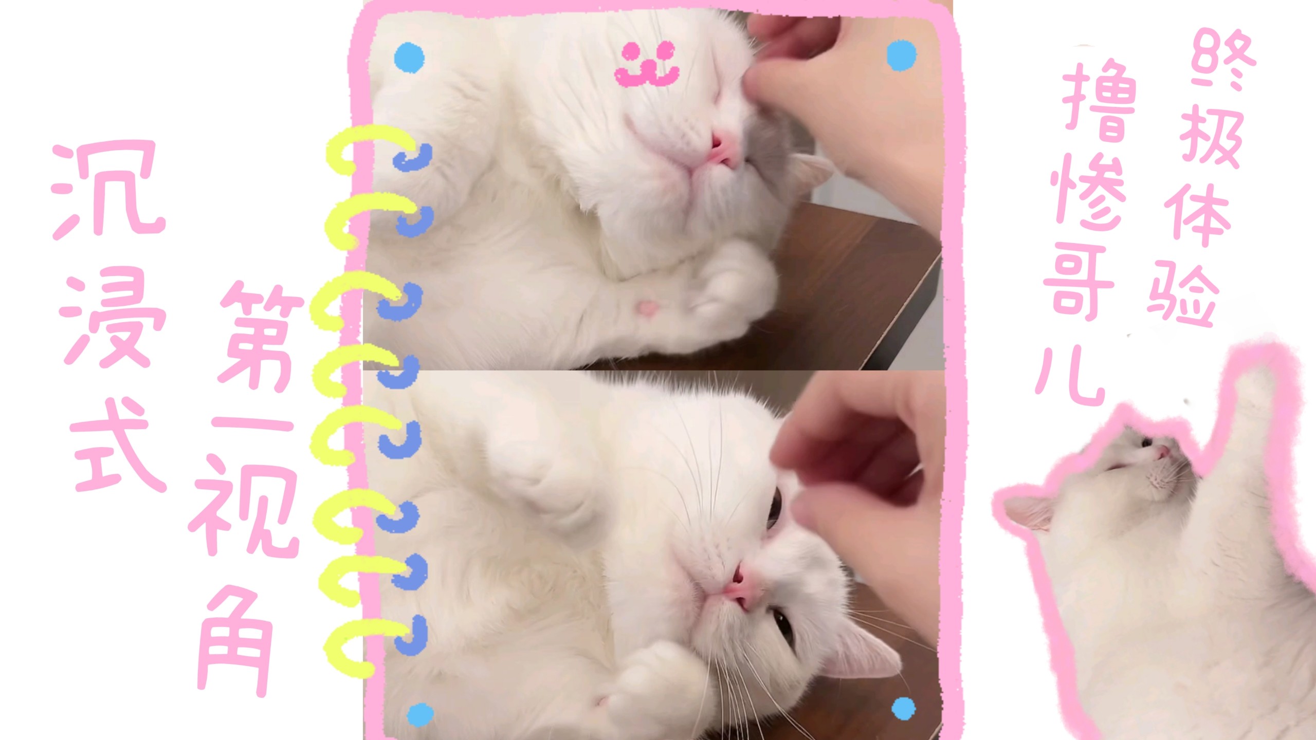 【惨哥儿】沉浸式第一视角撸惨哥儿终极体验