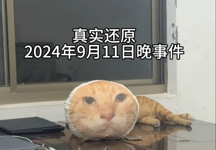 愿天下没有害人野猫也没有造谣