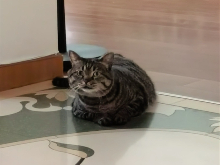 恭送牛马上班～