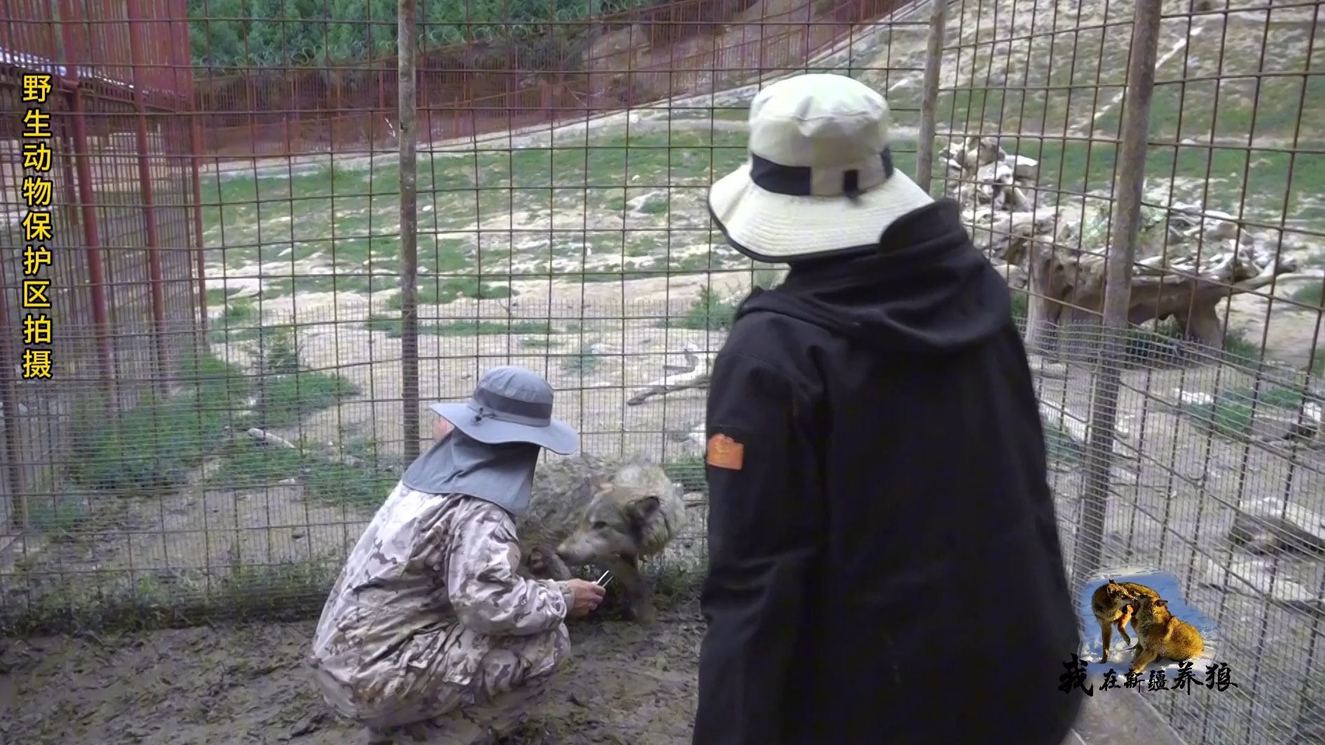 猎奇圈内惊险取药！