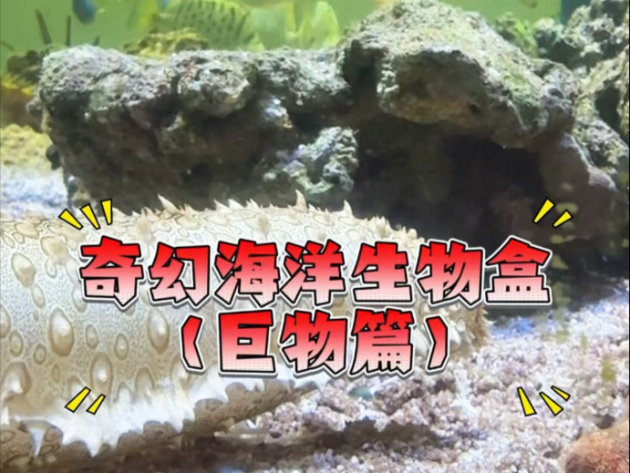 开到什么养什么！