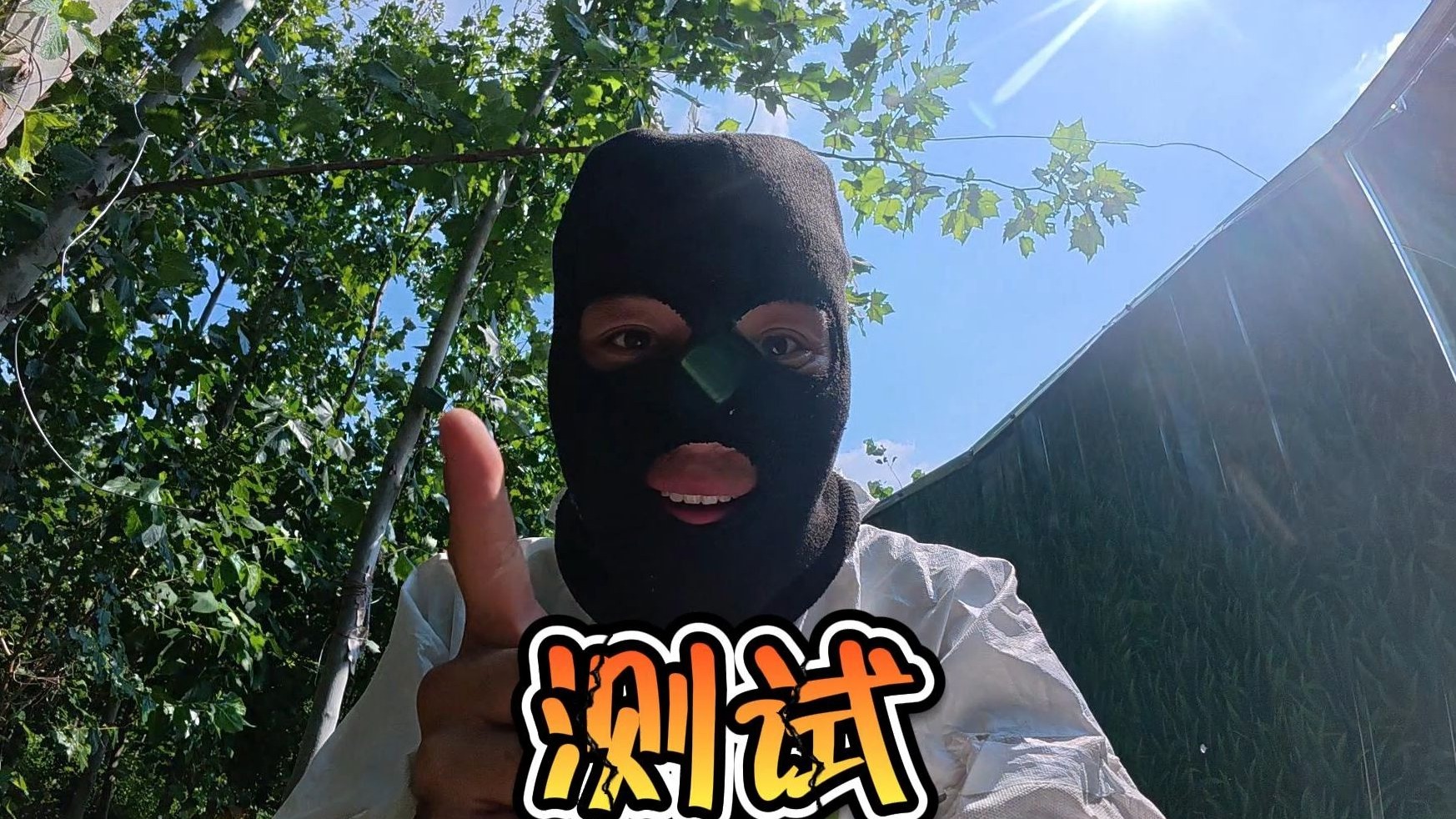 竟然可以当狗子的面偷鸡！狗子的防盗系统瘫痪了？