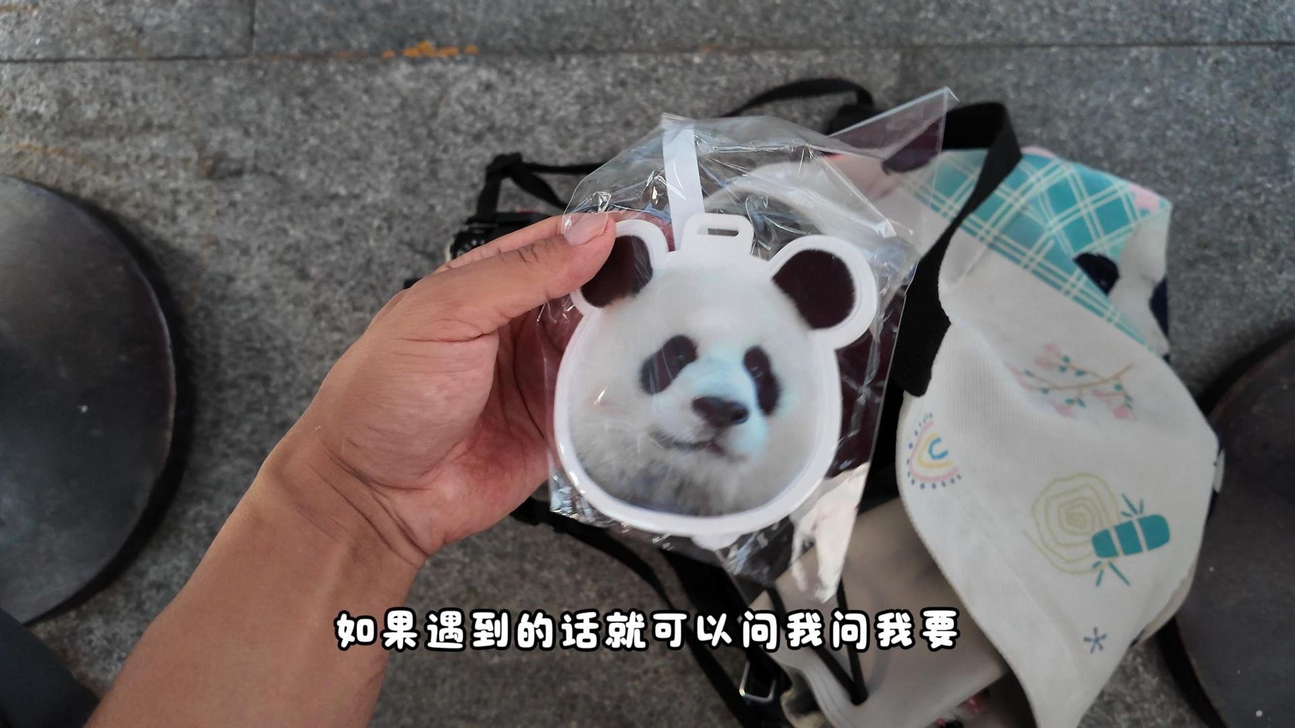 7月29日太热了 不推荐来熊猫基地哈