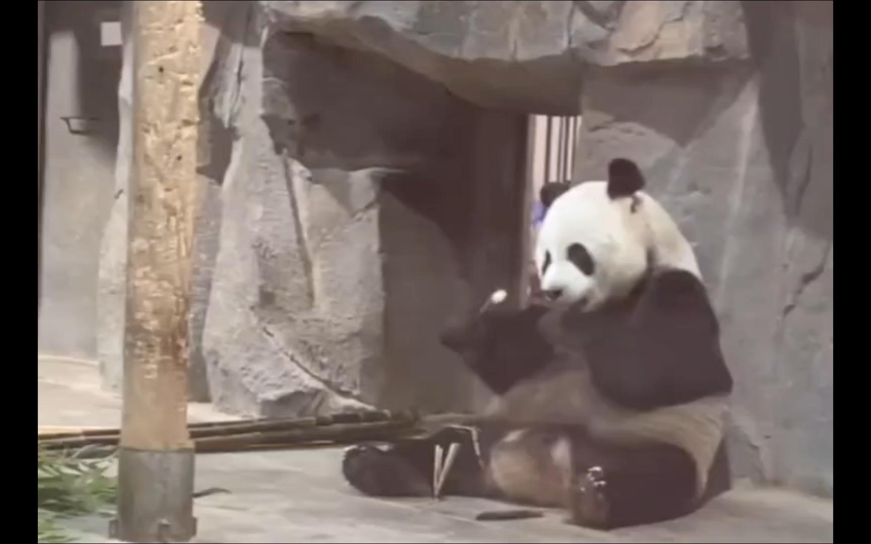 灵岩就像个孩子