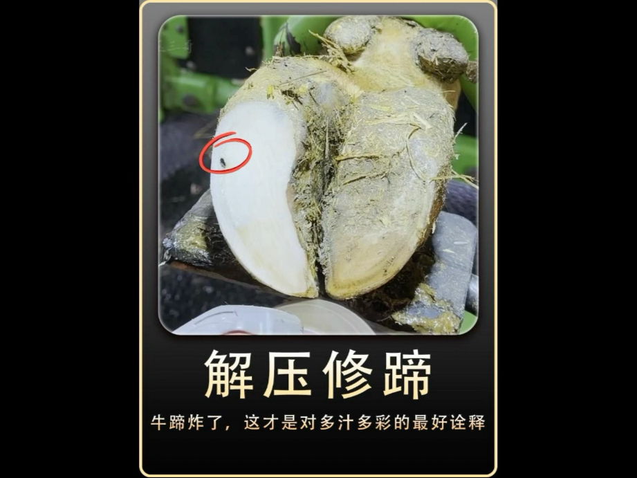 能挤进年度前三甲的牛蹄，千万别错过