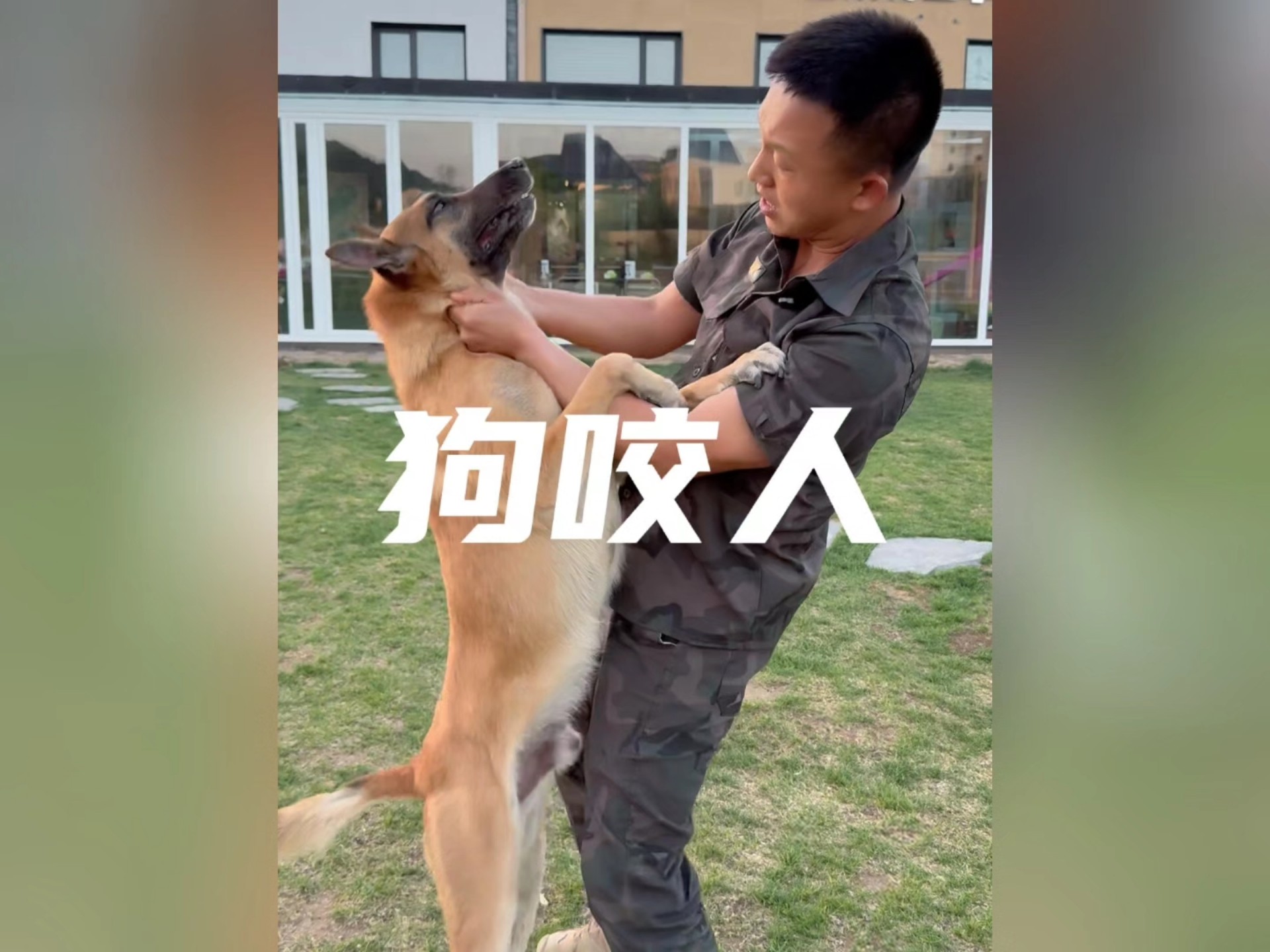 果然在绝对的实力面前，其他的一切都是徒劳