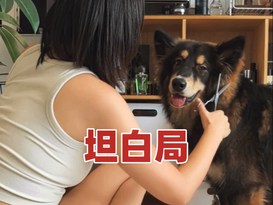 关于我喝多后伤害了我的狗这件事