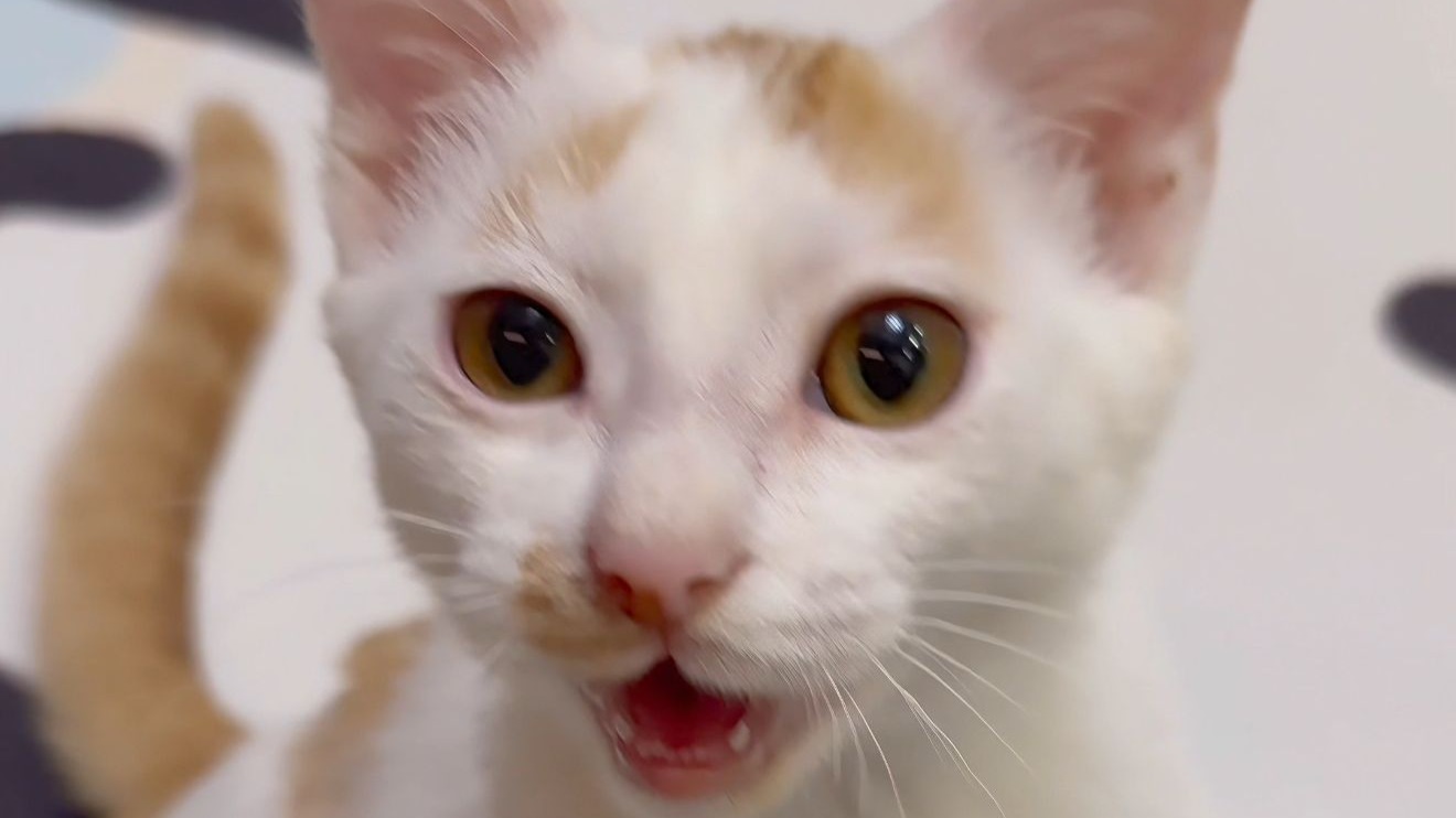 小烟嗓变小奶嗓