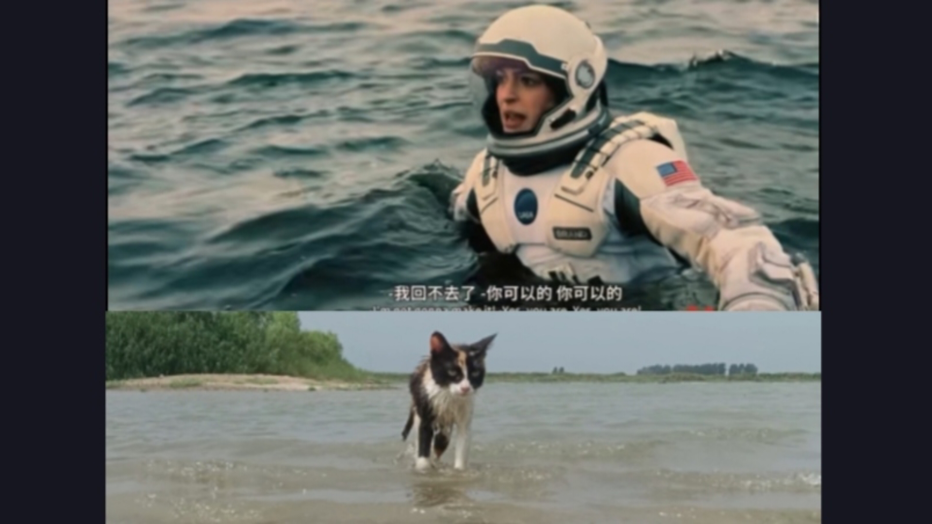 让我的猫参加一把星际穿越
