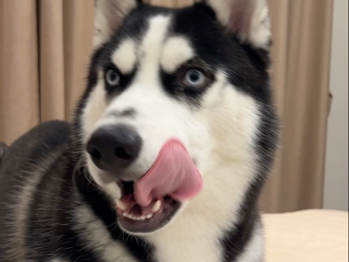 非得在床上趴着