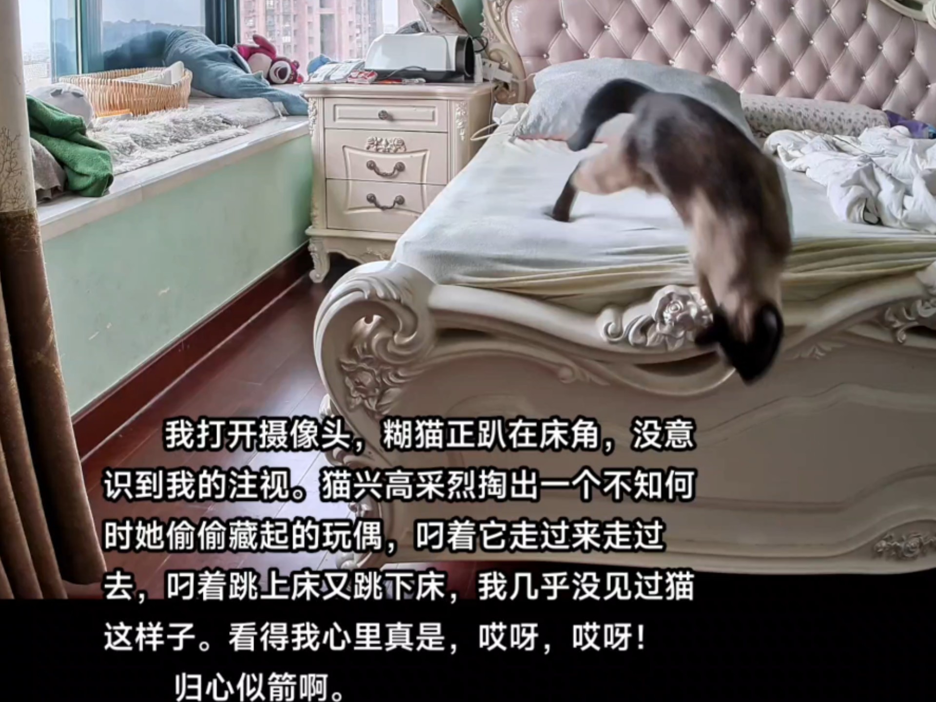 我美美归家