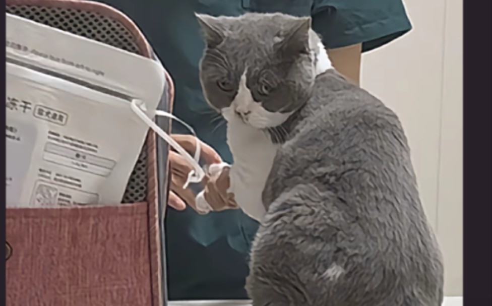 妈妈每天都打一针，为什么今天你就哭了呢