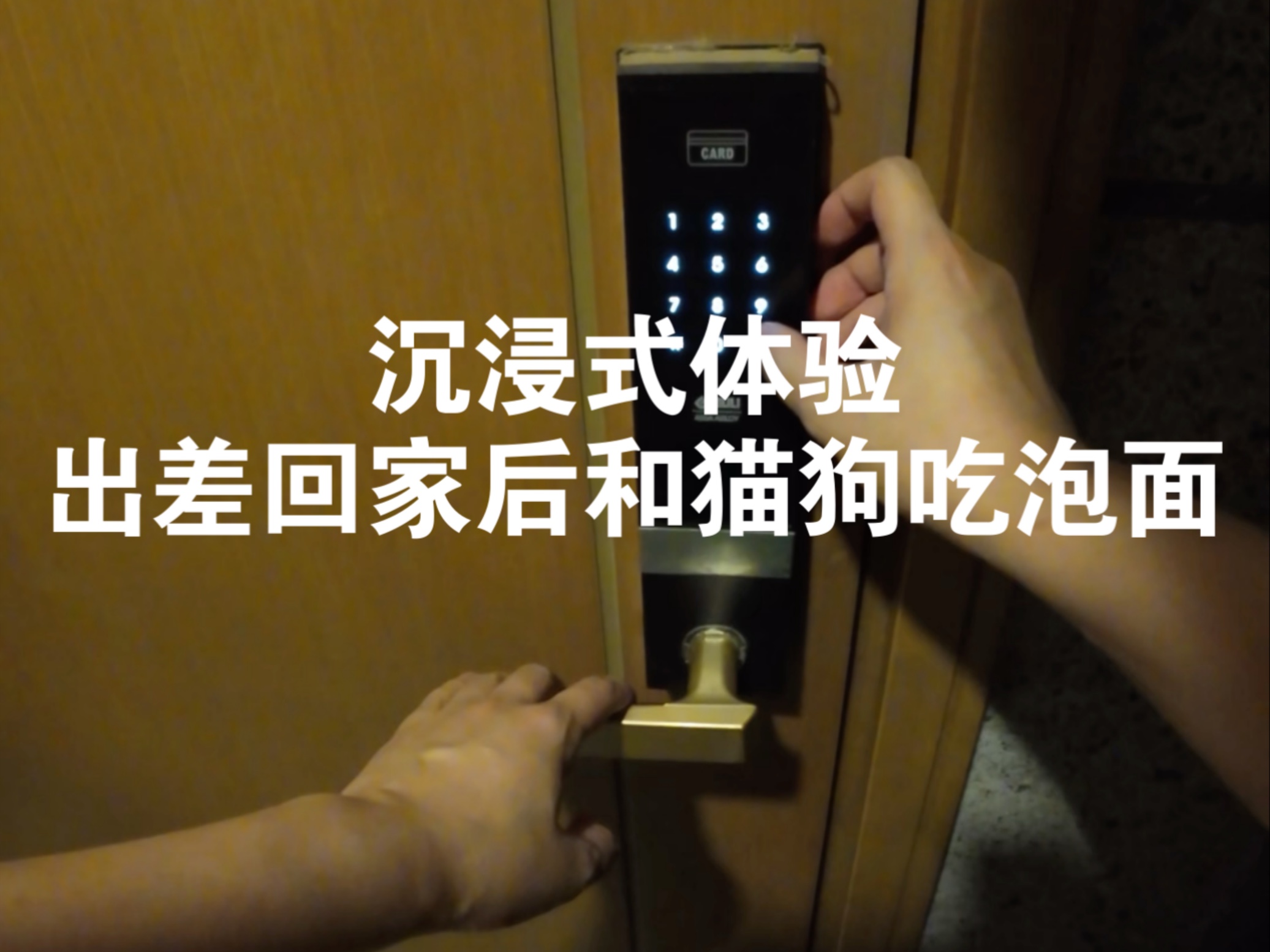 听说上期没加餐，这期给小猫小狗补上。