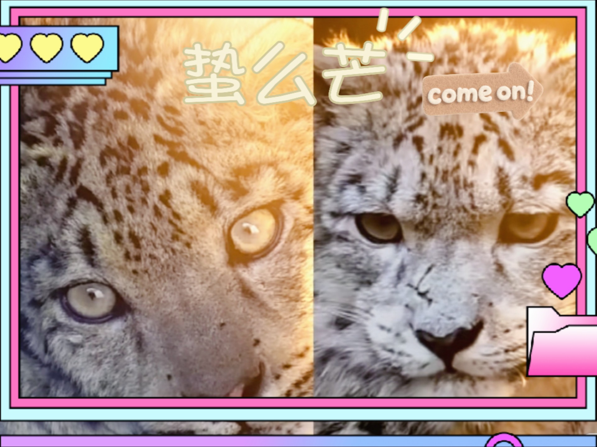 蛰么芒日常（9.2）