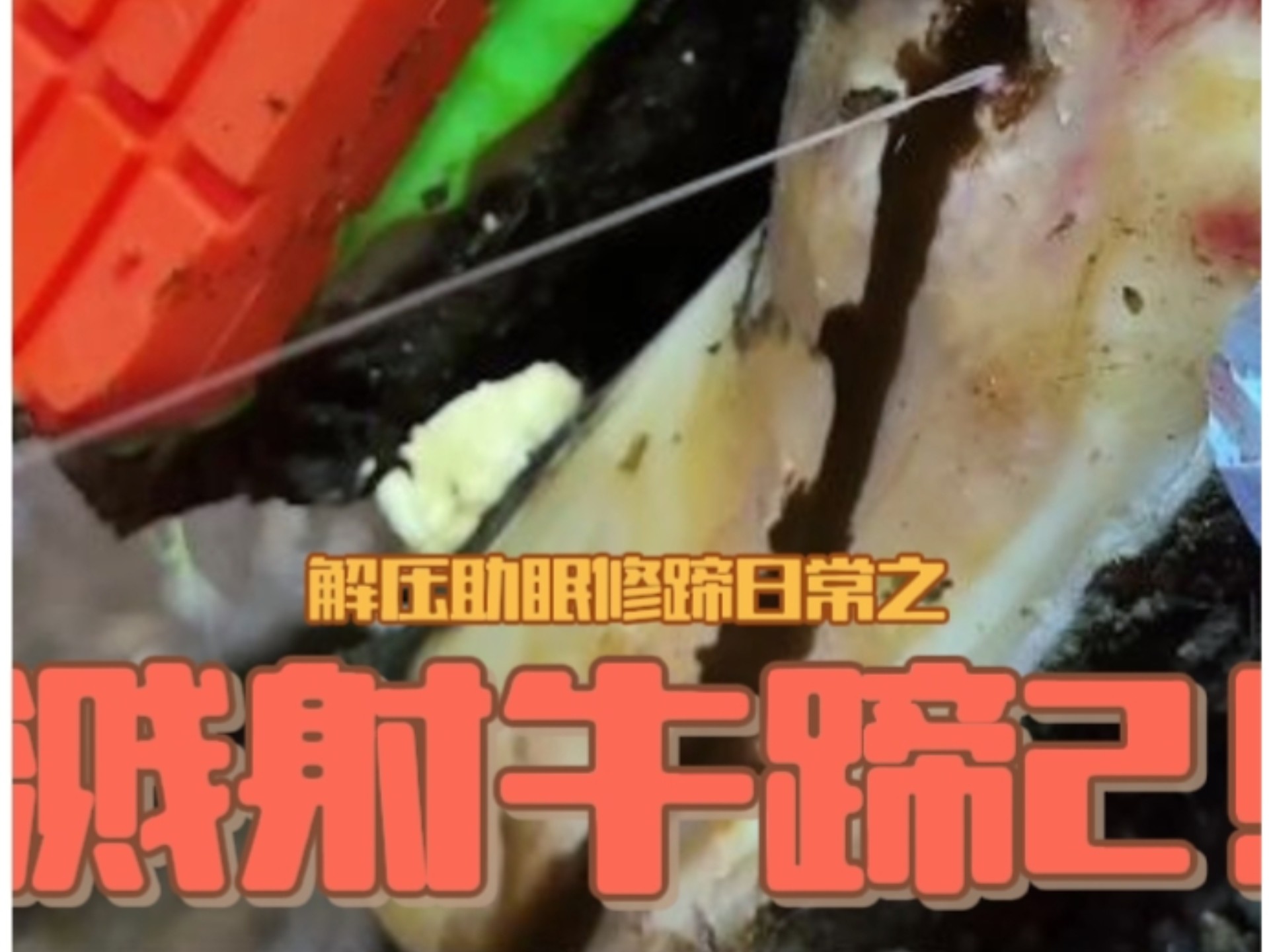 时隔数月，溅射牛蹄的后续修理来啦！