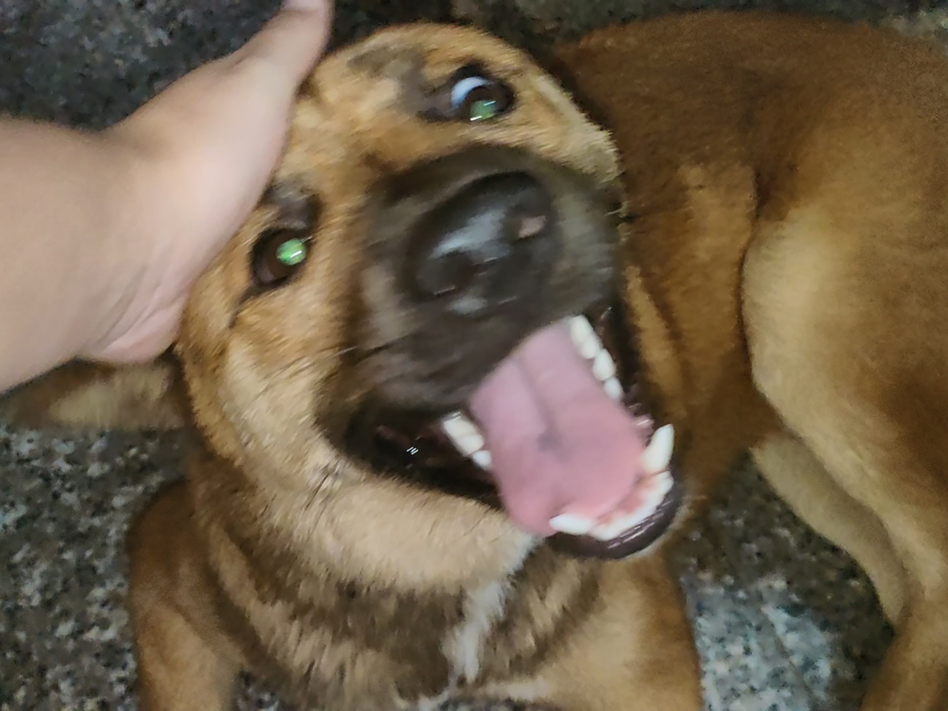 无论多晚，你都会每天等我吗？