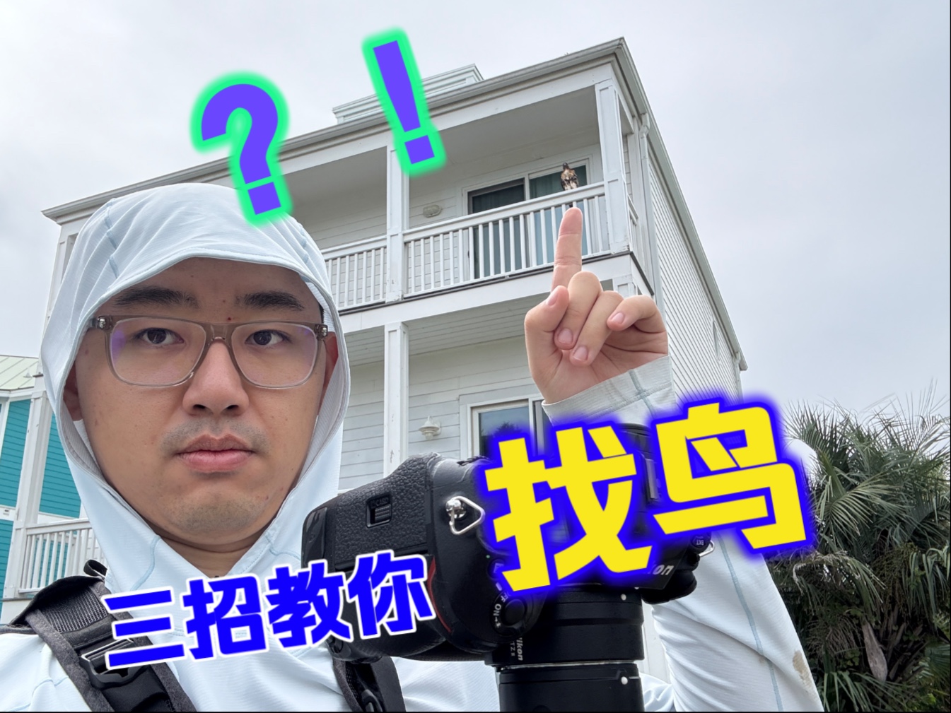 拒绝鸟荒 三招快速提升观鸟技巧