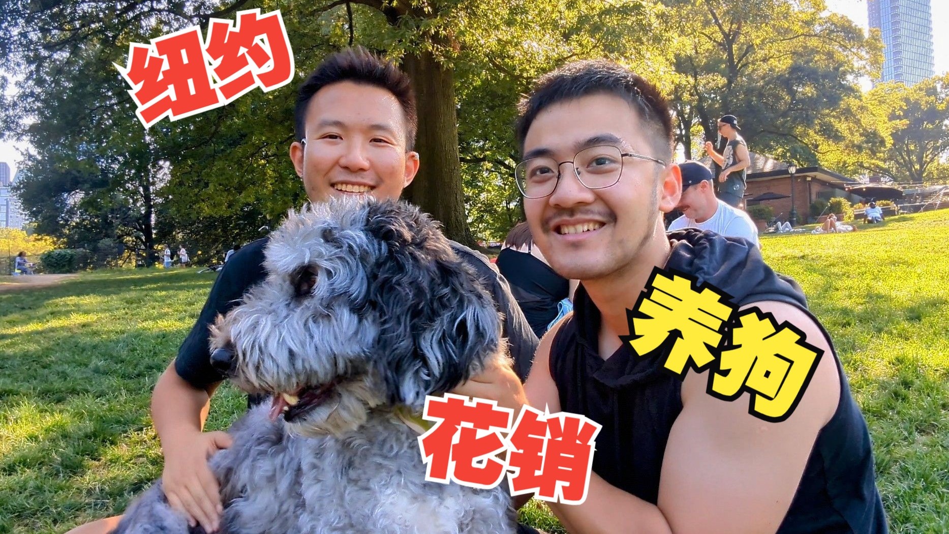 在纽约领养小狗是怎样的体验？