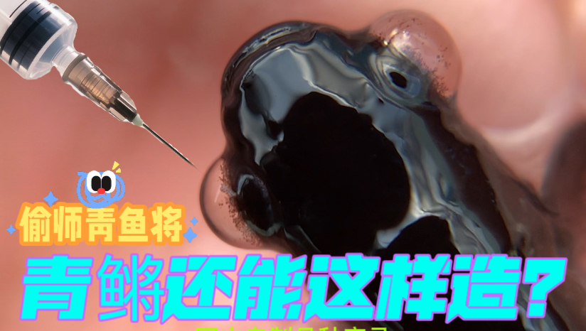 【青鳉】这届UP主太卷！为养鱼自制‘生物反应堆’（真·硬核）