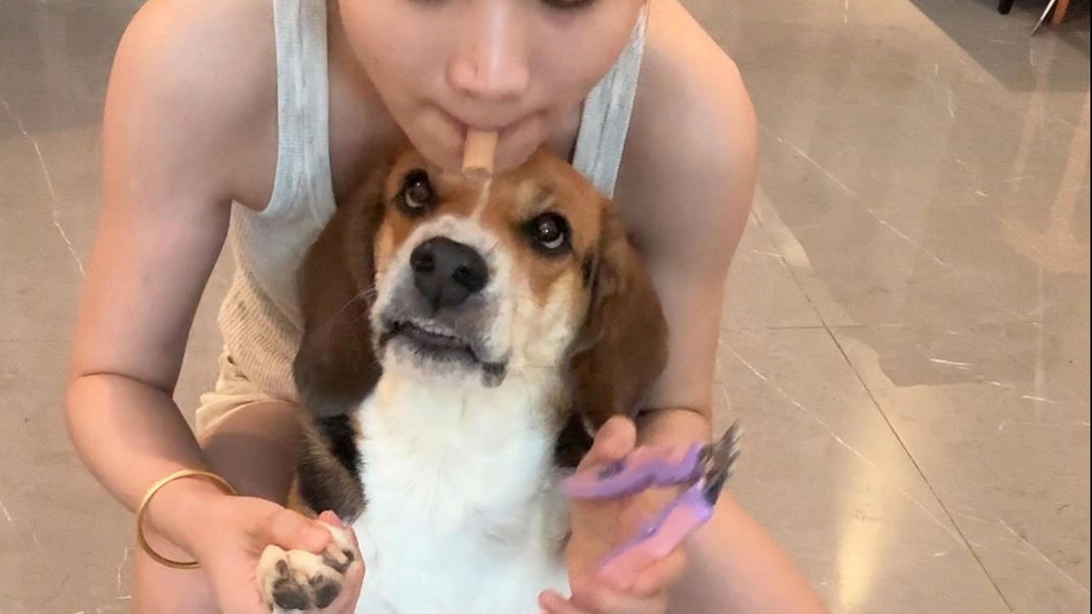 狗狗害怕剪指甲怎么办？
