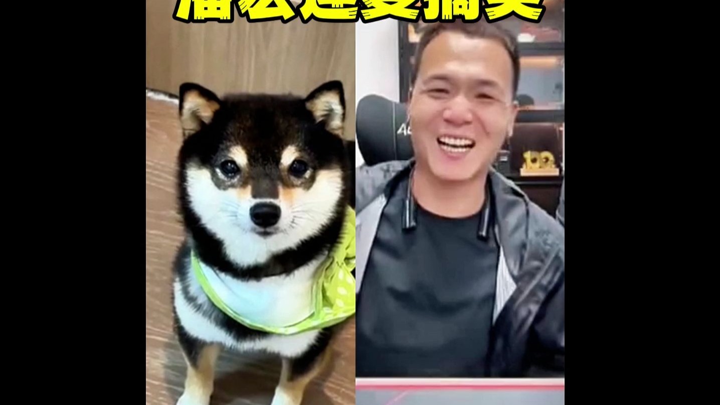 潘宏连麦爆笑场面 #潘宏 #看完不笑算我输