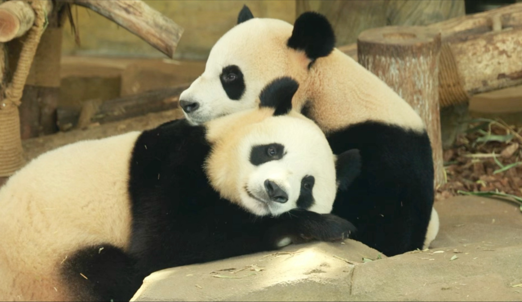 醒了，从七点过等到十二点