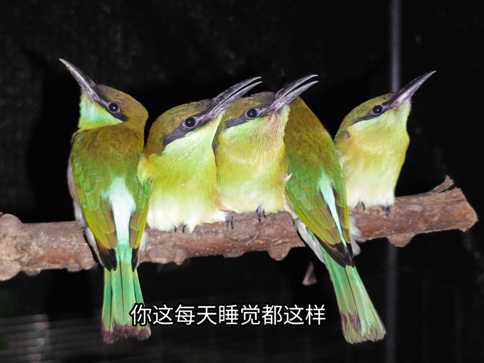 你们是有什么血海深仇吗？