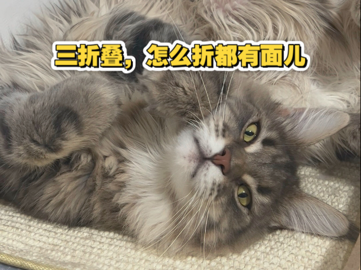 三折叠，怎么折都有面儿