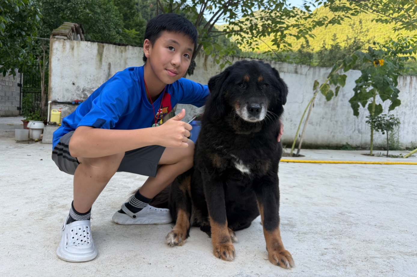 深圳的粉丝一家三口专门来撸几只狗子了，其它几只都敢上手就是不敢摸大牛