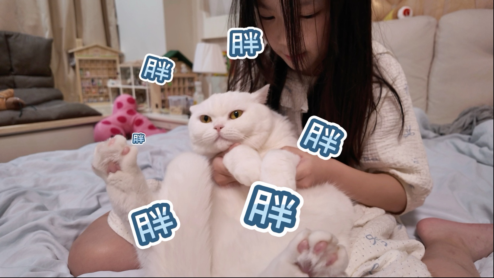 猫：镜头面前能给点面子吗？