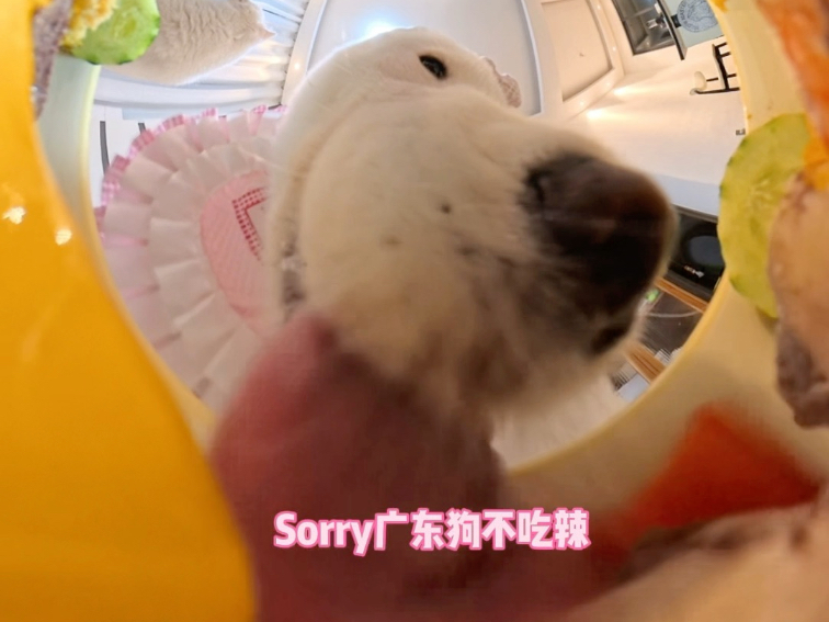 请大家帮我看看，我家孩子能当吃播吗