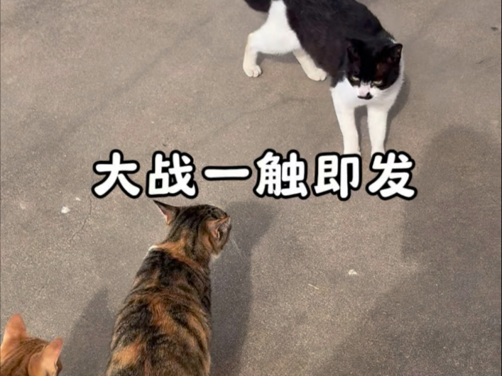 在农村生活每天心情都是放松的，而且还有一个小院子，院子里都是