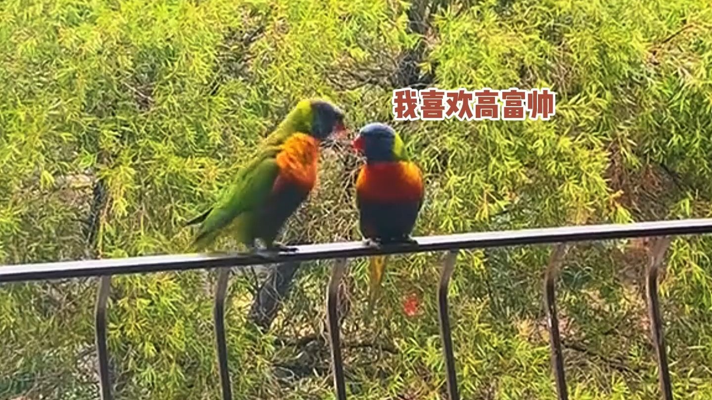 没点才艺朋友都不好谈！