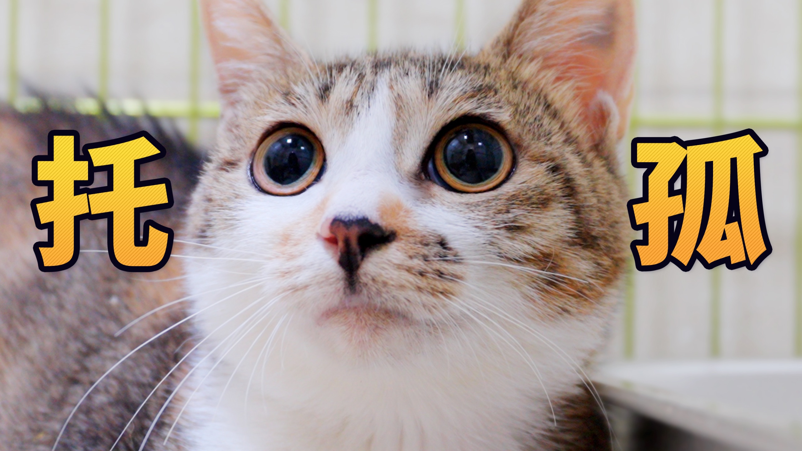 孩子归你，以后别找我啦！