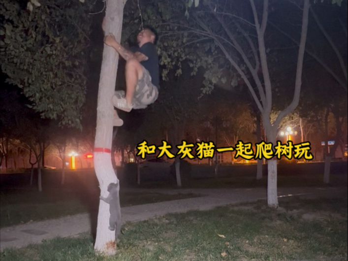 这只大灰猫是骑行路上捡到的，被检查出来猫瘟，现在每天都在打针