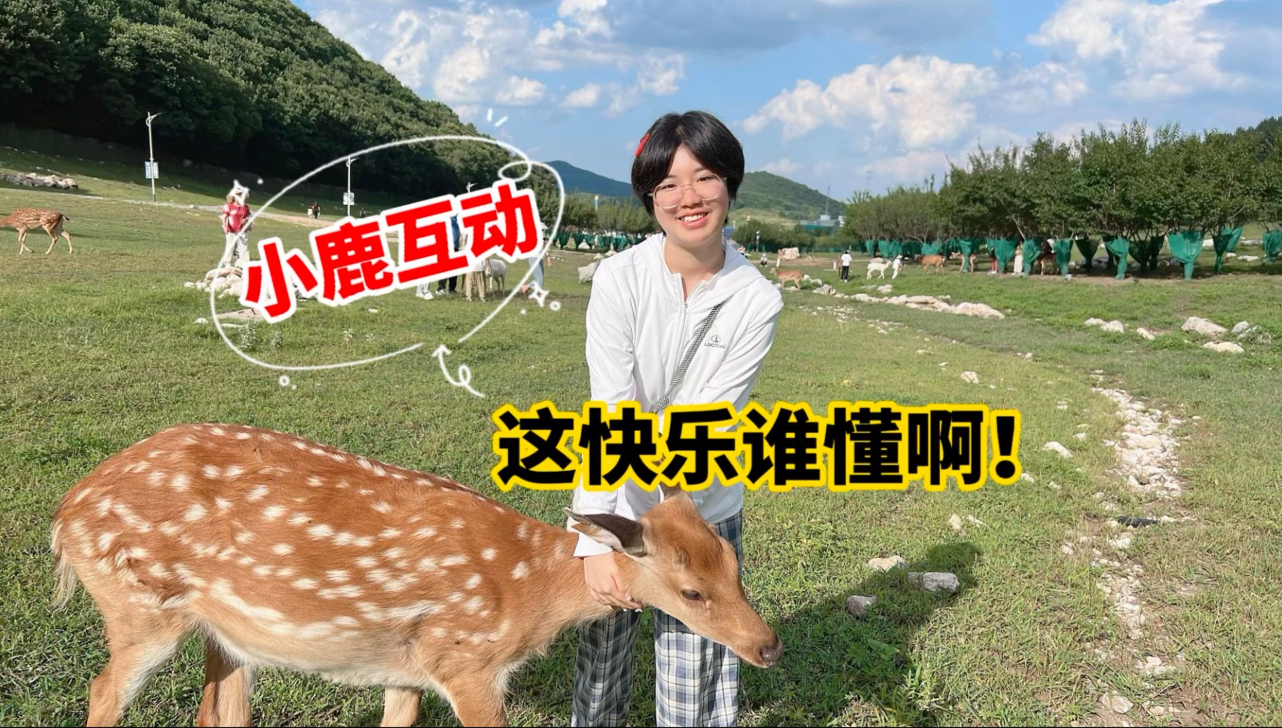 和梅花鹿互动的一天，这快乐谁懂啊！