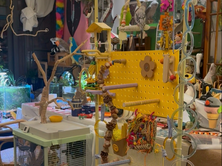 月薪三千也要富养我的小鸡！！！