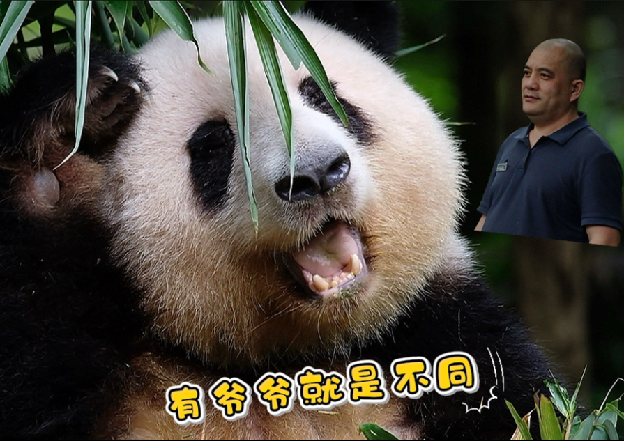 25.08.22 爷爷来了花花就上线卖萌，爷爷不在花花就规规矩矩的