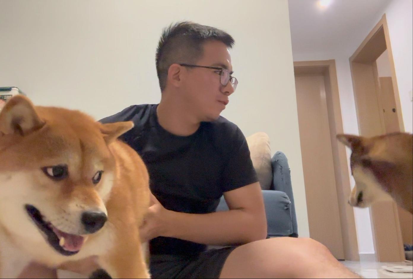 想让柴犬合影太难了