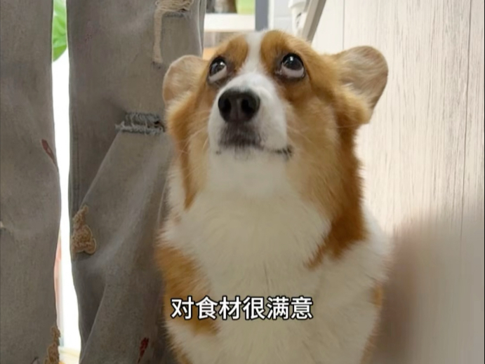 下馆子就该吃自带的肉丸子